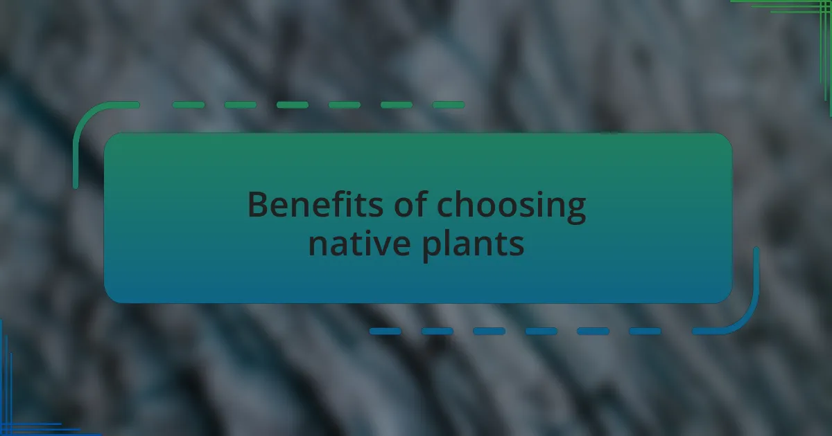 Benefits of choosing native plants