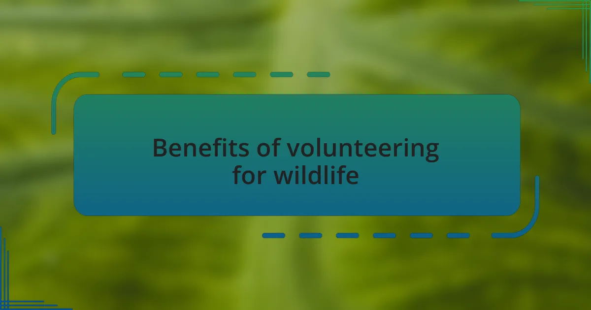 Benefits of volunteering for wildlife