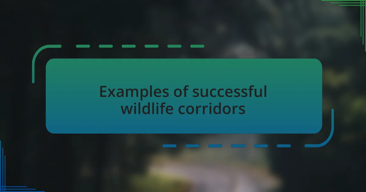 Examples of successful wildlife corridors