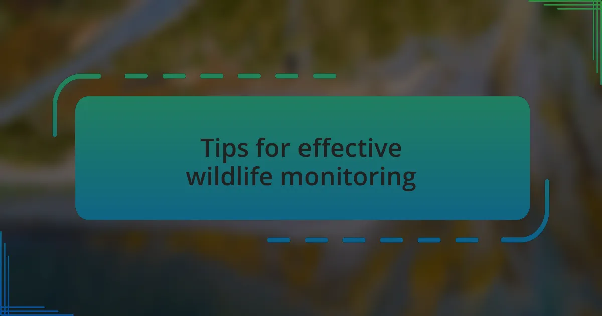 Tips for effective wildlife monitoring