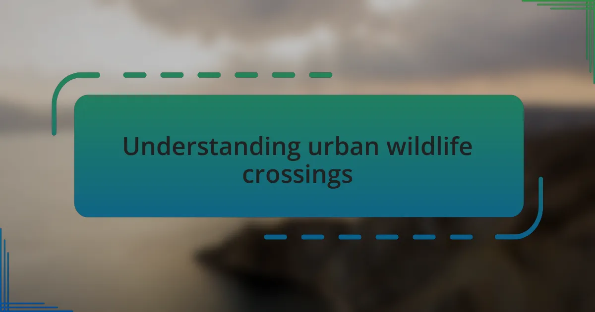 Understanding urban wildlife crossings